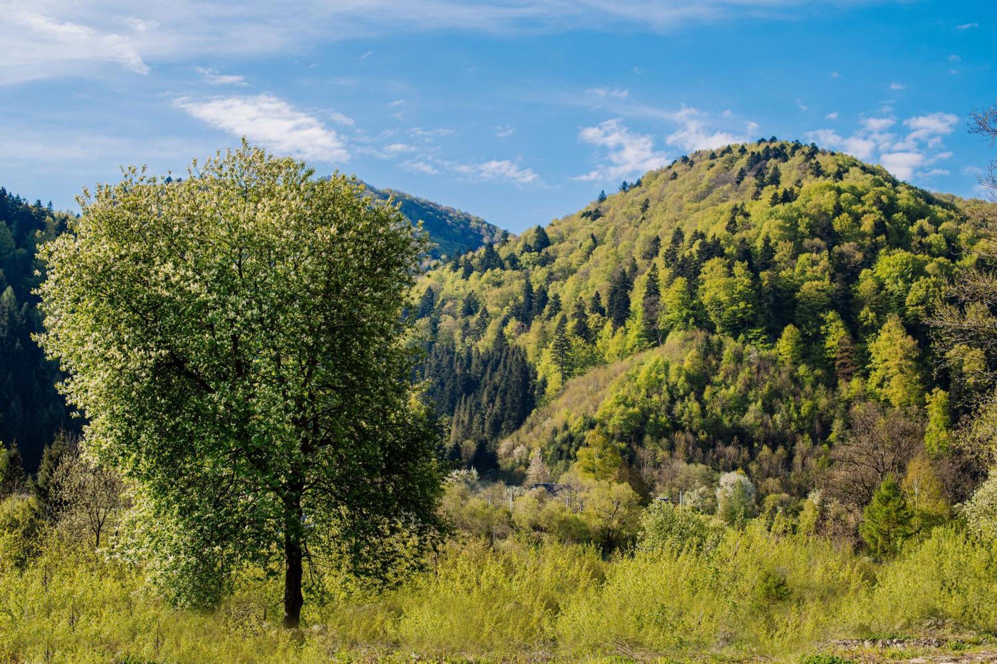 Рибничанка Hotel Skhidnytsia ภายนอก รูปภาพ